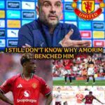 Screenshot_20250819-021557