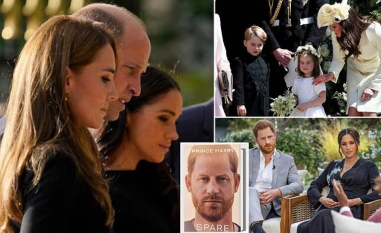 Screenshot_20250914-055223