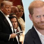 Screenshot_20250918-162313