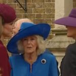 Screenshot_20250919-113015