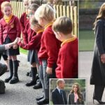 Screenshot_20250923-144223