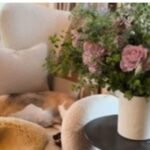 Screenshot_20250929-042654