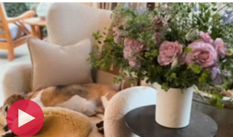 Screenshot_20250929-042654