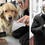 102911283-0-image-a-75_1760215293856