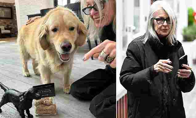 102911283-0-image-a-75_1760215293856