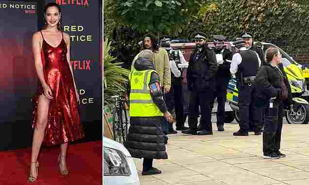 103108825-0-image-a-25_1760827667131