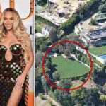 103224285-0-image-a-31_1761152757460