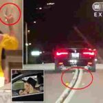 103268177-0-image-a-28_1761260303901