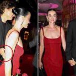 103359213-0-image-a-25_1761601282909