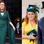 103360905-0-image-a-3_1761606619502