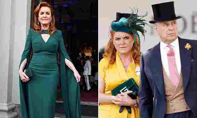 103360905-0-image-a-3_1761606619502