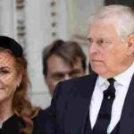 103460717-0-image-a-10_1761854611208