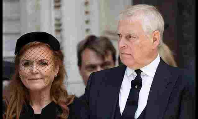 103460717-0-image-a-10_1761854611208