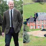 103533301-0-image-a-28_1762127629471