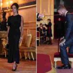 103577663-0-image-a-84_1762260526065