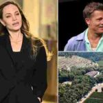 103637911-0-image-a-25_1762400403932