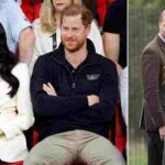 103645375-0-image-a-37_1762426439433