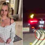 103712833-0-image-a-17_1762627526776