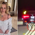 103712833-0-image-a-17_1762627526776 (2)