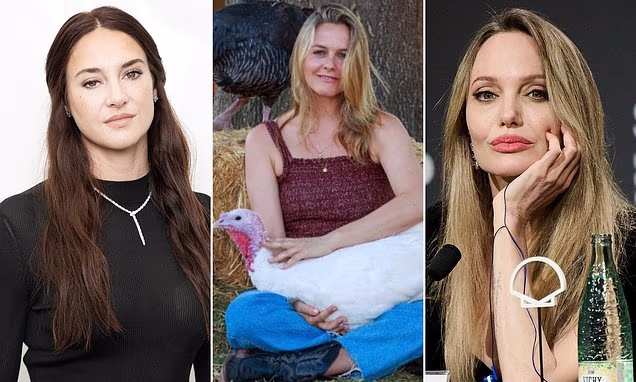 104216891-0-image-a-21_1764182639610