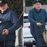 104221469-0-image-a-17_1764192659290