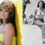 104271373-0-image-a-74_1764343724665