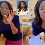 104288843-0-image-a-106_1764402808056