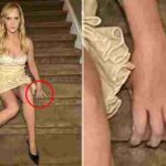 104318801-0-image-a-34_1764540324431