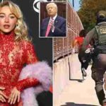 104392463-0-image-a-5_1764732731206