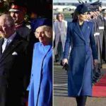 104404437-0-image-a-119_1764768178351