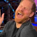 104432163-0-image-a-22_1764849076888