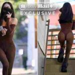 104491691-0-image-a-6_1764965537247