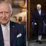 104684493-0-image-a-2_1765564474747